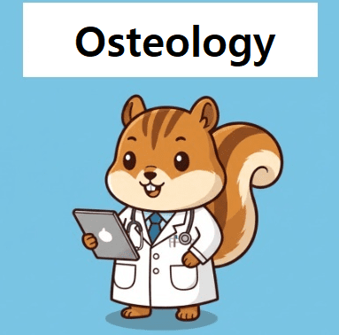 doctor explains about osteology