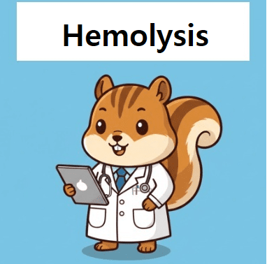 doctor explaining what happens to your blood test results when hemolysis occurs