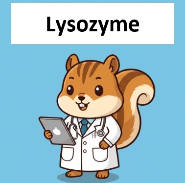 lysozyme test interpretation