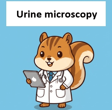 urine microscopy (urine sediment examination) interpretation